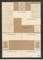 Diatomeae indet. (de-Toni-Nr.: Species 1818 ?, 1835 ?) Zeichnungen Sammlung Grunow Nr. 3720 (NHMW-BOT-W0371356)